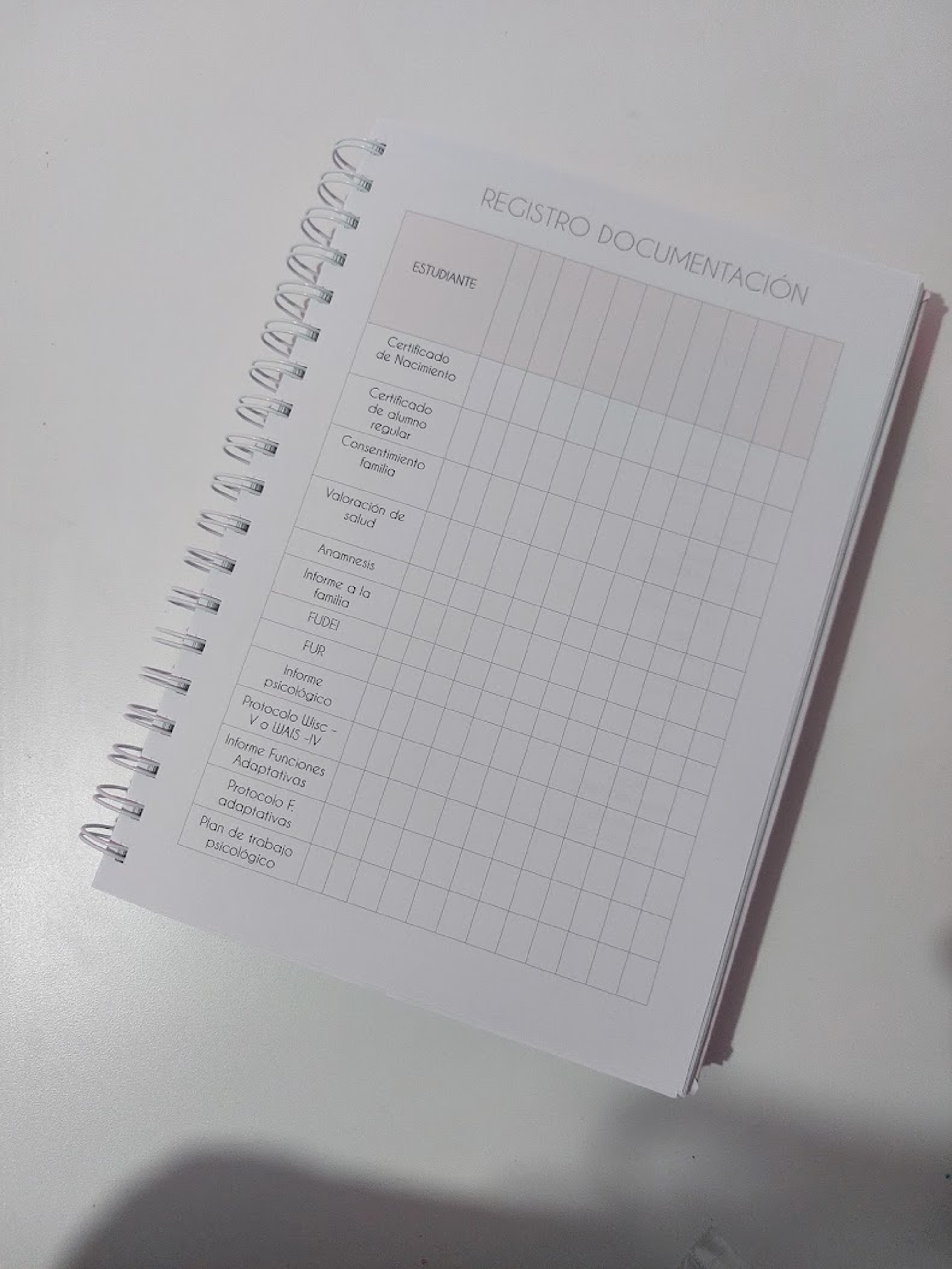 Planner Profesora Educación Diferencial 14