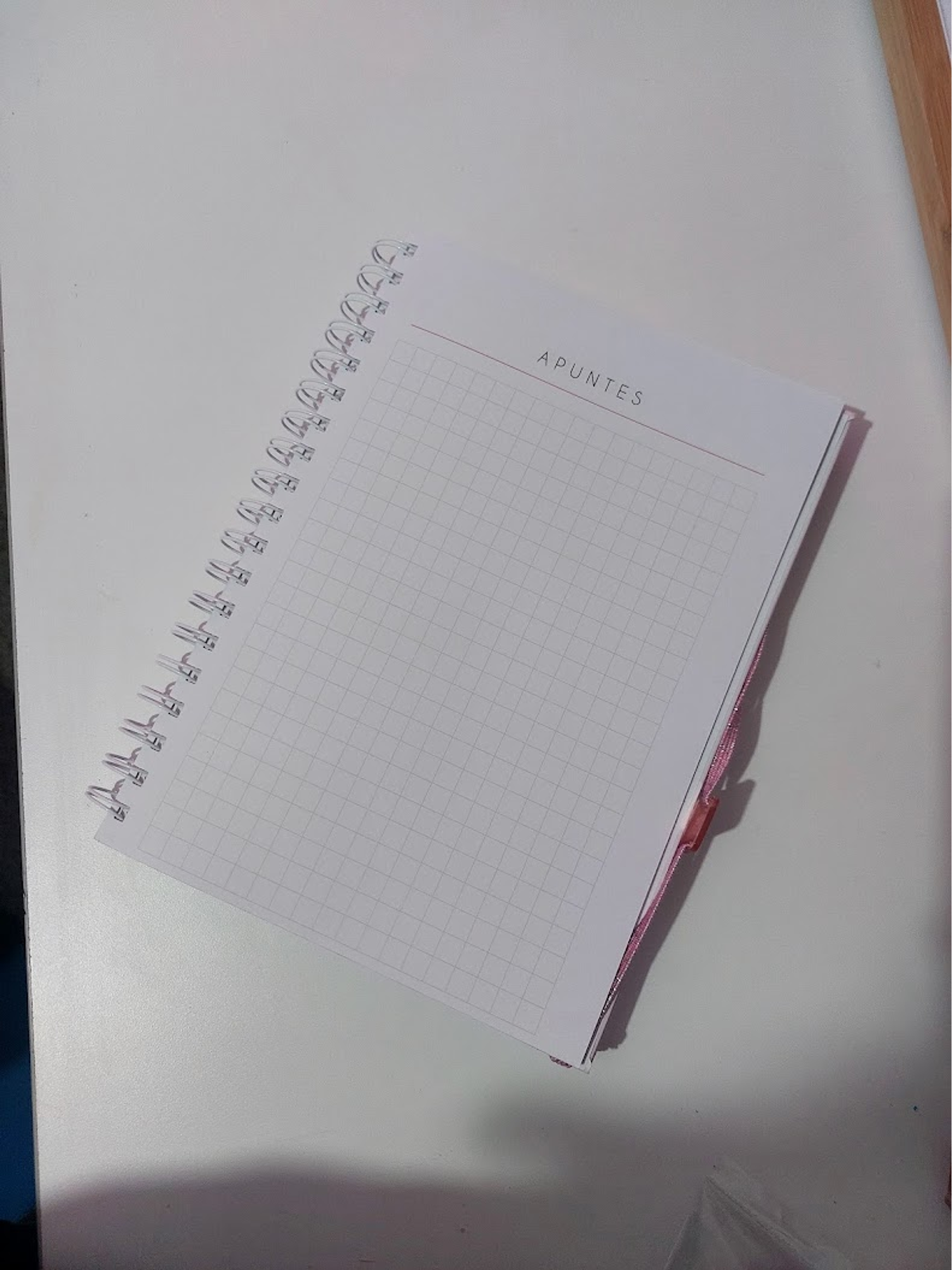 Planner Profesora Educación Diferencial 16