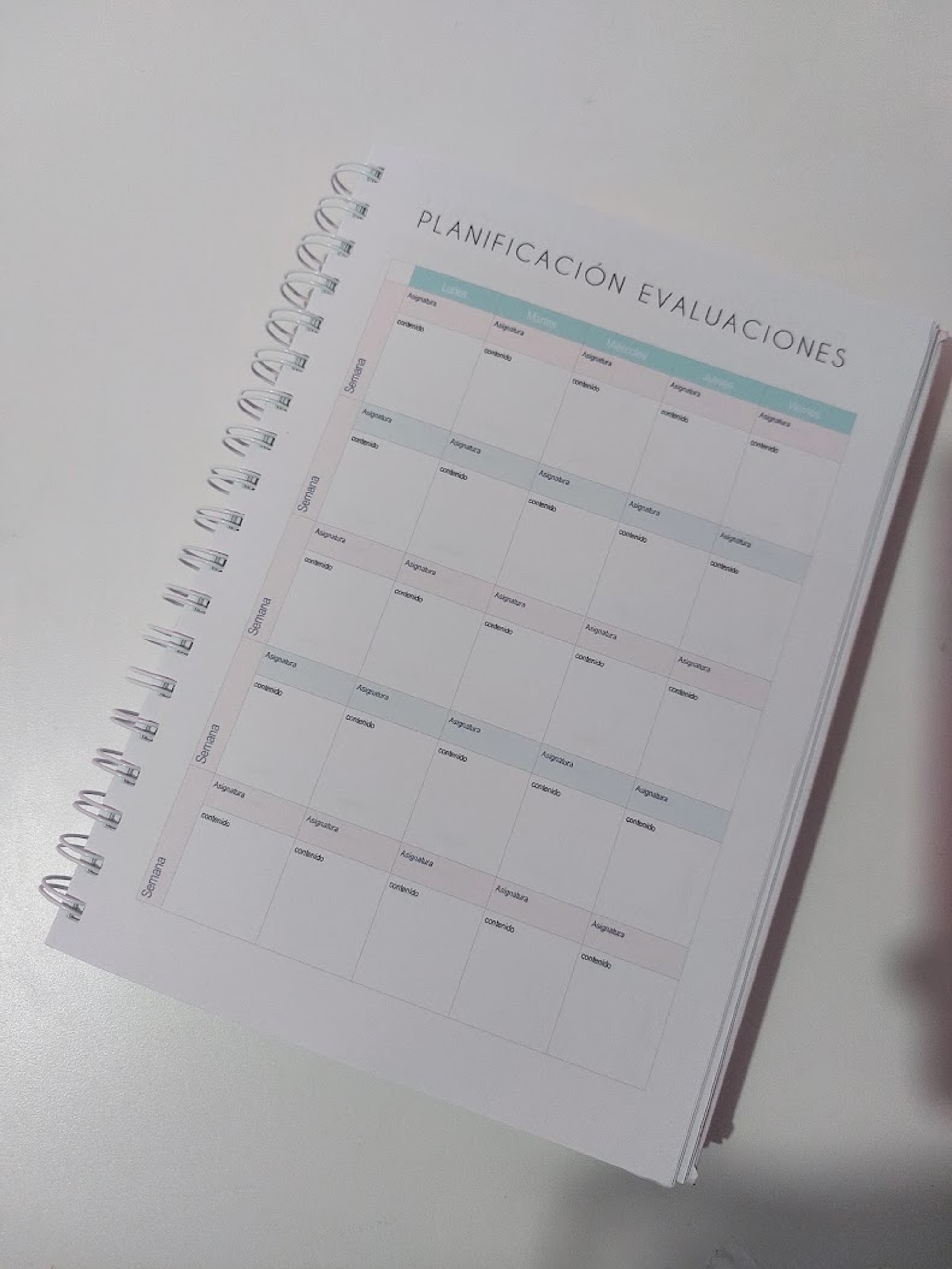 Planner Profesora Educación Diferencial 15
