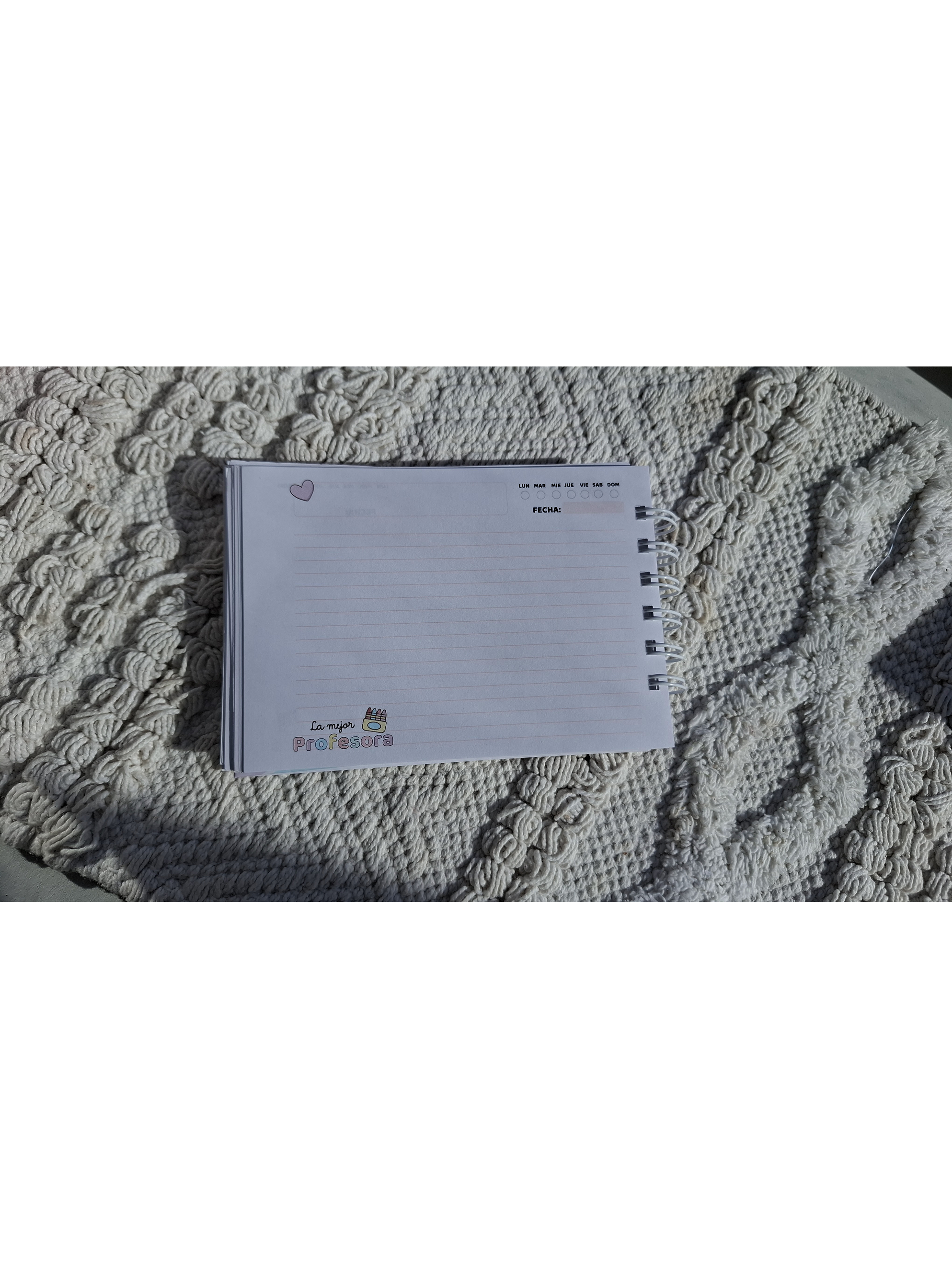 Libreta de apuntes profesora 2