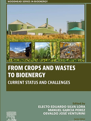 From Crops and Wastes to Bioenergy: Current Status and Challenges