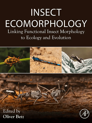 Insect Ecomorphology: Linking Functional Insect Morphology to Ecology and Evolution