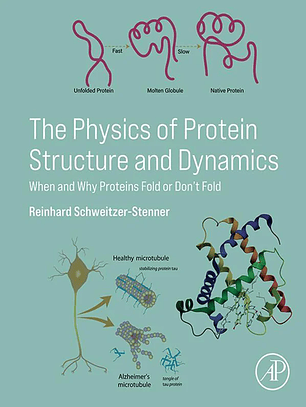 The Physics of Protein Structure and Dynamics: When and Why Proteins Fold or Don’t Fold