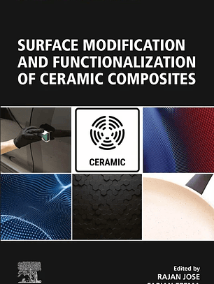 Surface Modification and Functionalization of Ceramic Composites