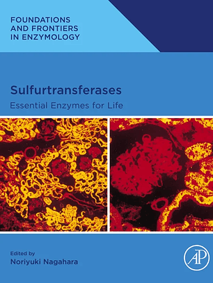 Sulfurtransferases: Essential Enzymes for Life