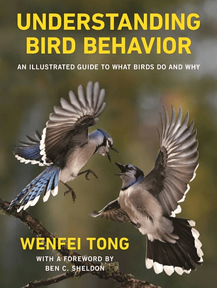 Understanding Bird Behavior: An Illustrated Guide to What Birds Do and Why 
