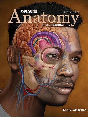  Exploring Anatomy in the Laboratory 2nd Edition 