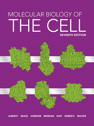 Molecular Biology of the Cell 7th Edition 