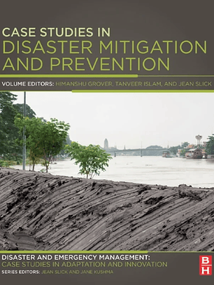 Case Studies in Disaster Mitigation and Prevention: Disaster and Emergency Management: Case Studies in Adaptation and Innovation series