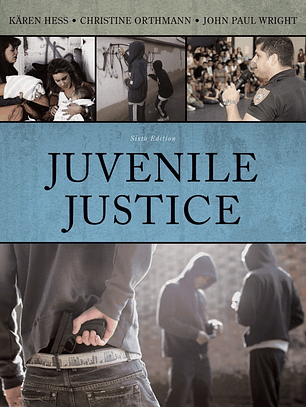 Juvenile Justice 6th Edition