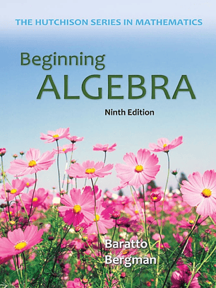 Beginning Algebra 9th Edition 