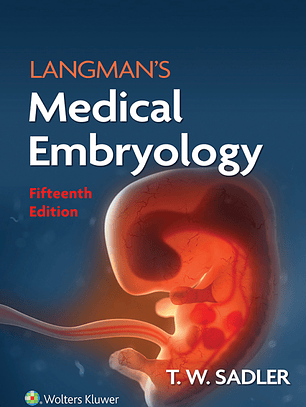 Langman's Medical Embryology 15th Edition