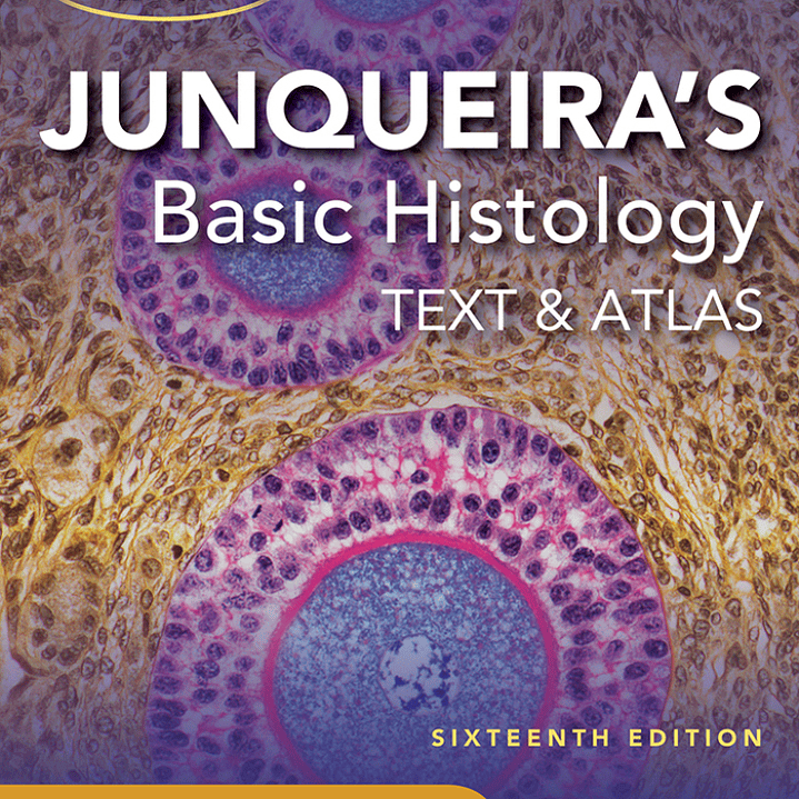 Junqueira's Basic Histology: Text and Atlas 16th Edition 1