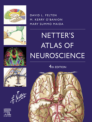 Netter's Atlas of Neuroscience 4th Edition + Videos