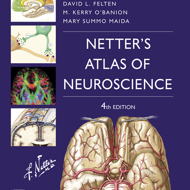 Netter's Atlas of Neuroscience 4th Edition + Videos 1