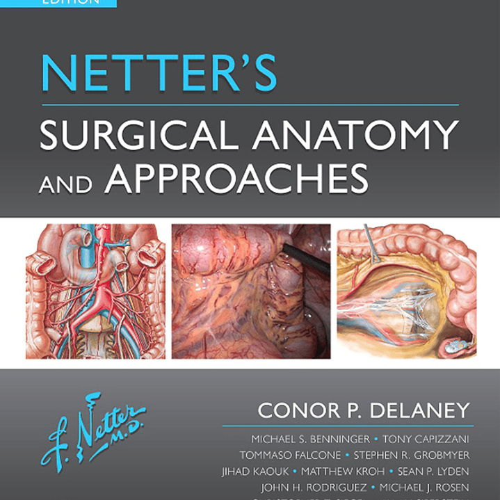 Netter's Surgical Anatomy and Approaches 2nd Edition 1