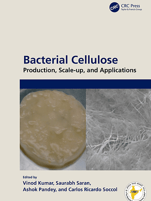 Bacterial Cellulose: Production, Scale-up, and Applications 