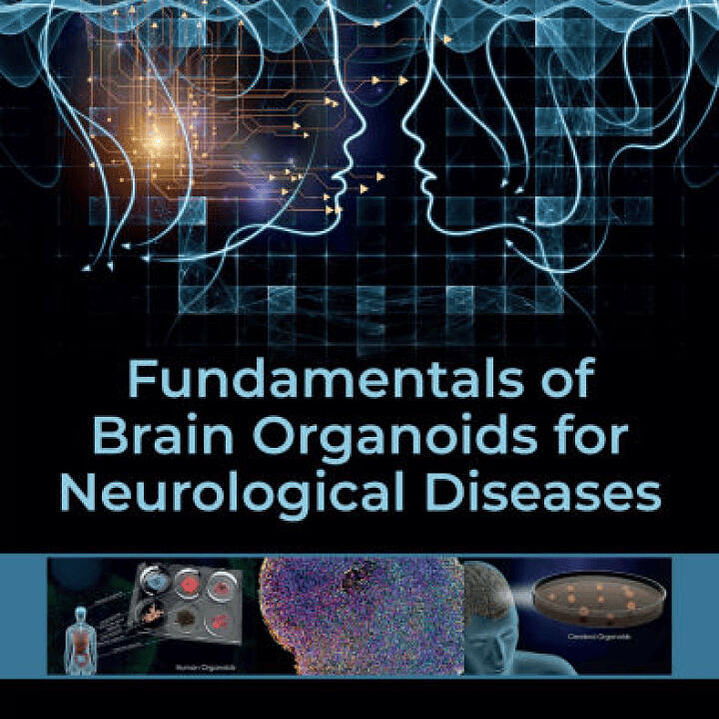 Fundamentals of Brain Organoids for Neurological Diseases 1