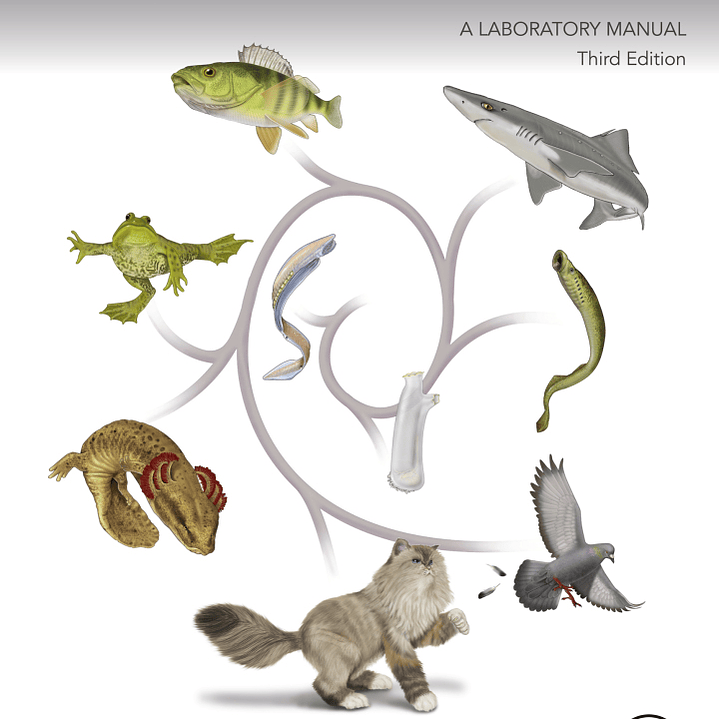 The Dissection of Vertebrates 3rd Edition 1