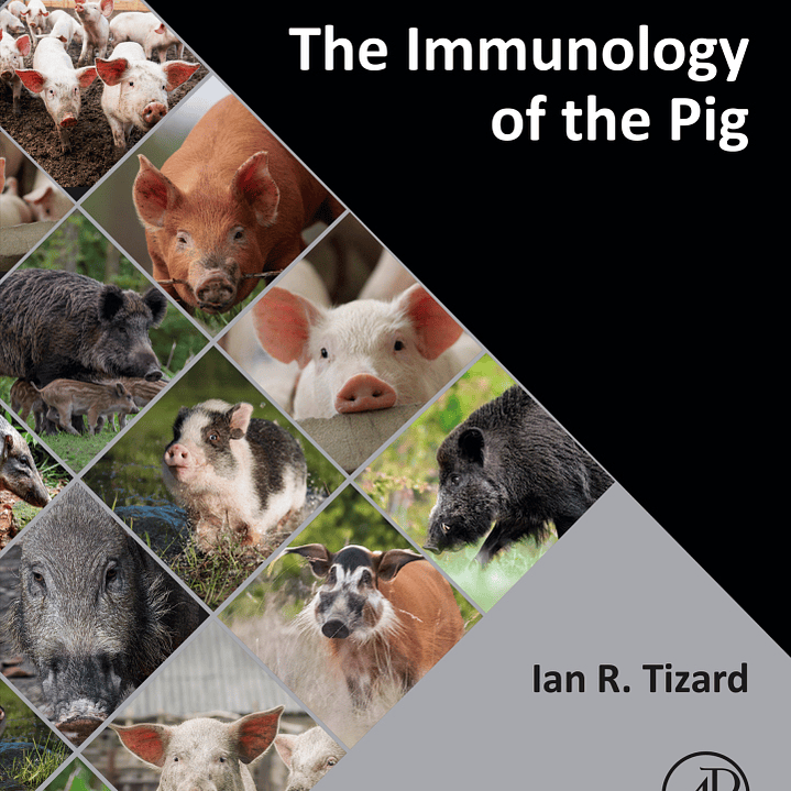 The Immunology of the Pig 1