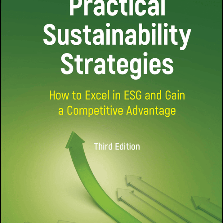 Practical Sustainability Strategies: How to Excel in ESG and Gain a Competitive Advantage 3rd Edition 1