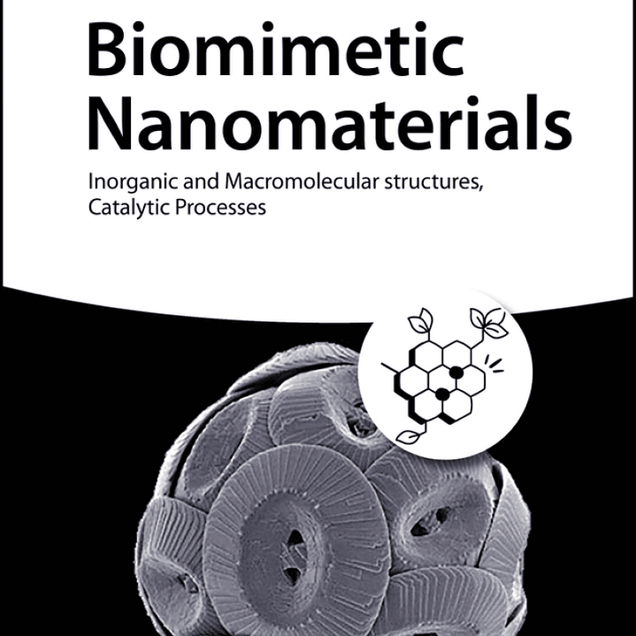 Biomimetic Nanomaterials: Inorganic and Macromolecular structures, Catalytic Processes  1