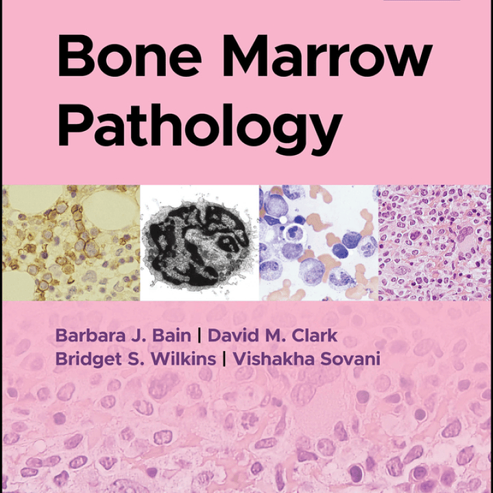 Bone Marrow Pathology 6th Edition 1