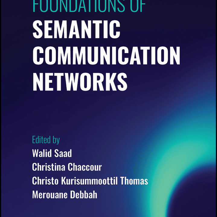 Foundations of Semantic Communication Networks 1