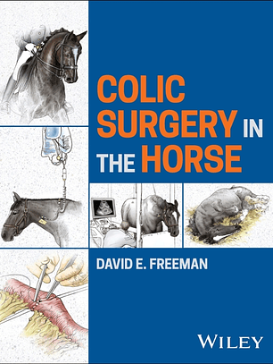 Colic Surgery in the Horse