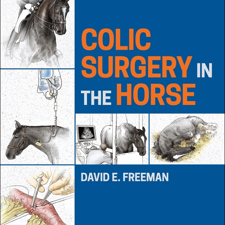 Colic Surgery in the Horse 1