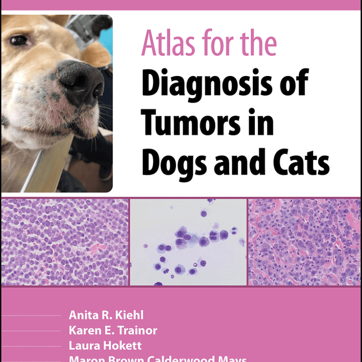 Atlas for the Diagnosis of Tumors in Dogs and Cats 2nd Edition 1