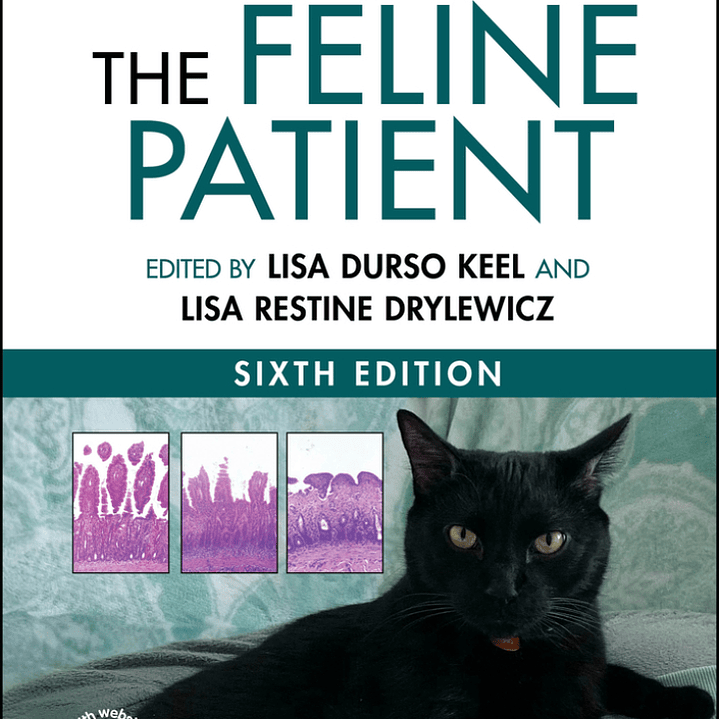 The Feline Patient 6th Edition 1