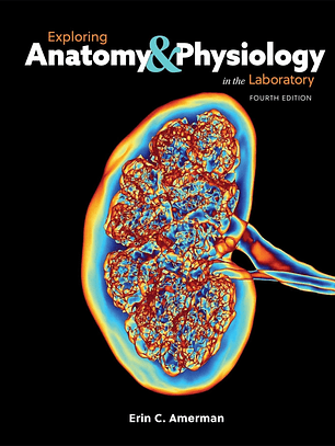 Exploring Anatomy & Physiology in the Laboratory 4th Edition