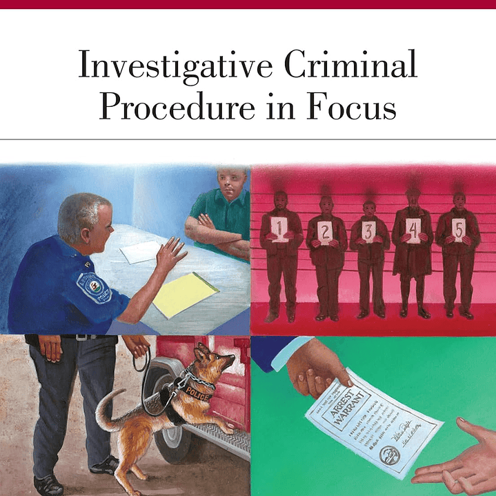 Investigative Criminal Procedure in Focus 1