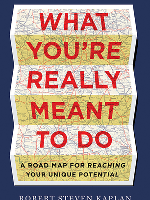 What You're Really Meant to Do: A Road Map for Reaching Your Unique Potential
