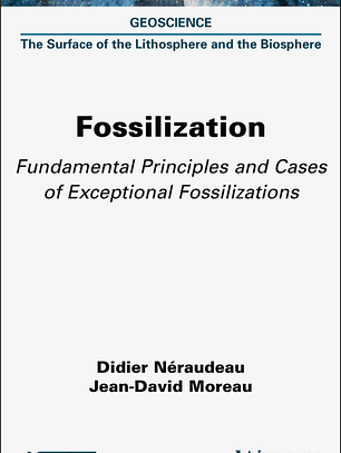 Fossilization: Fundamental Principles and Cases of Exceptional Fossilizations