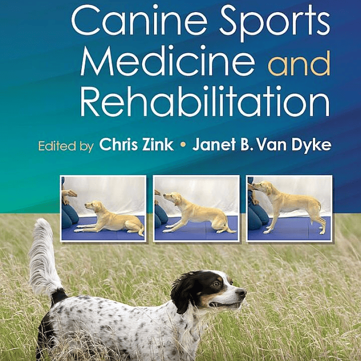 Canine Sports Medicine and Rehabilitation 3rd Edition 1