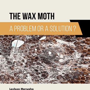 The Wax Moth: A Problem or a Solution? 