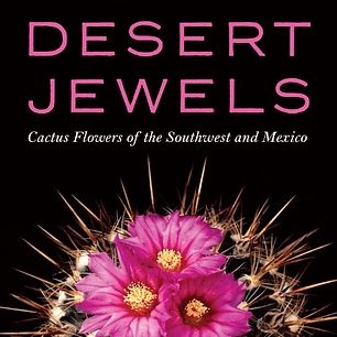Desert Jewels: Cactus Flowers of the Southwest and Mexico