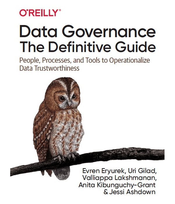 Data Governance: The Definitive Guide: People, Processes, and Tools to Operationalize Data Trustworthiness