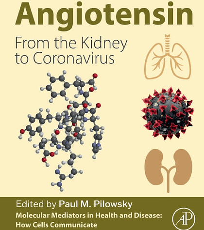 Angiotensin: From the Kidney to Coronavirus