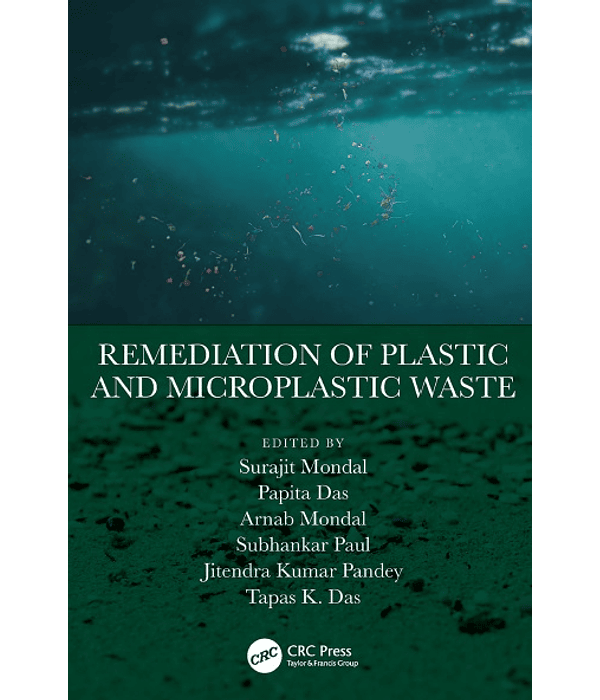 Remediation of Plastic and Microplastic Waste