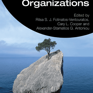 Resilience in Modern Day Organizations (Current Issues in Work and Organizational Psychology) 