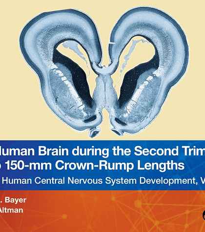 The Human Brain during the Second Trimester 96– to 150–mm Crown-Rump Lengths: Atlas of Human Central Nervous System Development, Volume 8