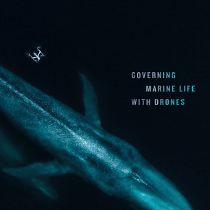 Oceaning: Governing Marine Life with Drones