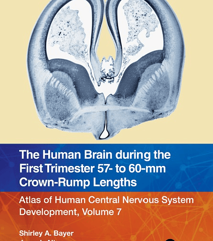 The Human Brain during the First Trimester 57- to 60-mm Crown-Rump Lengths: Atlas of Human Central Nervous System Development, Volume 7