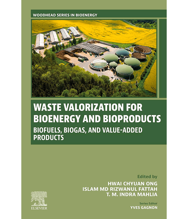 Waste Valorization for Bioenergy and Bioproducts: Biofuels, Biogas, and Value-Added Products