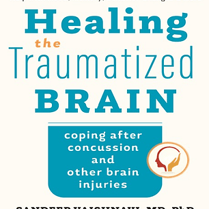 Healing the Traumatized Brain: Coping after Concussion and Other Brain Injuries
