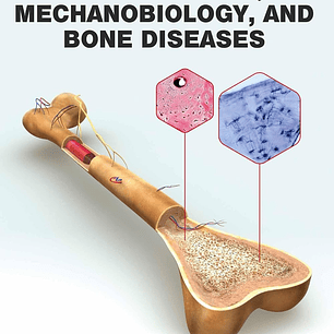 Bone Cell Biomechanics, Mechanobiology and Bone Diseases