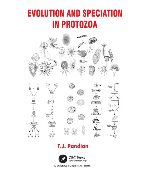 Evolution and Speciation in Protozoa